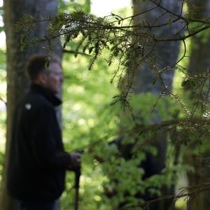 Skovrejsning: Når natur, jagt og langsigtede valg går hånd i hånd