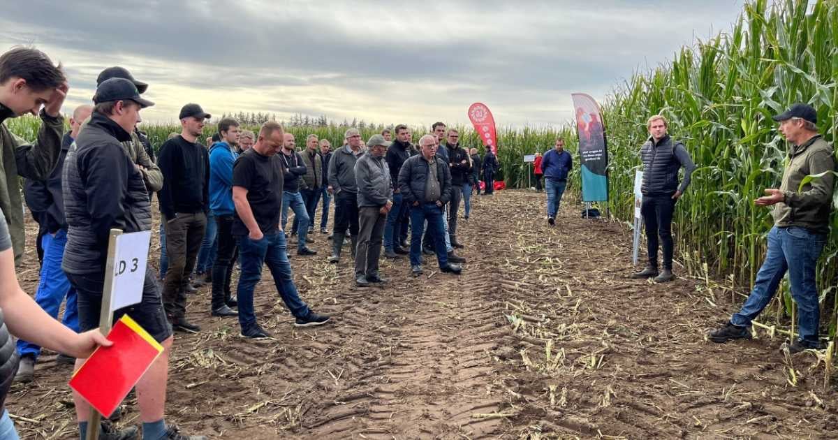 1200 x 630 Grovfoderdag arkiv