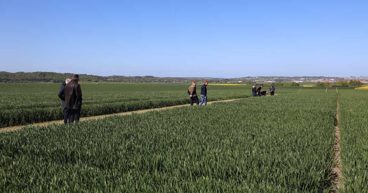 1200x630 Agri Farm Day optakt forsøg mark 05