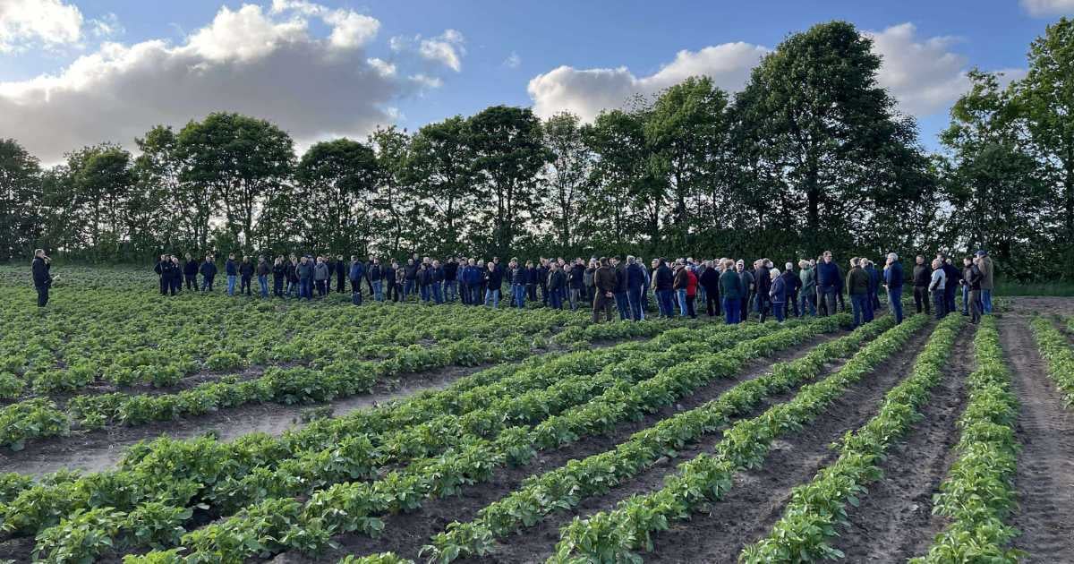 1200x630 Hejselt Hovedgård markvandring kreds 1 04