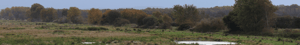 Gron_trepart_Coverbillede_2000x300px