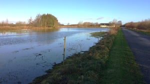 vandløb - Hans Ole (2)