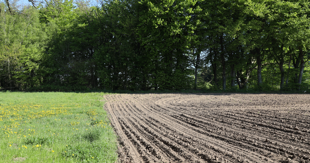 200009031_AgillixLandbrug_OKT_Artikel_Miljoe_Billede_Hubspot_2_1200x630px