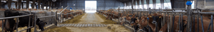 Kopi af Agillix_Blogpost_Coverbillede (arrangement+nyhed)_2000x300px