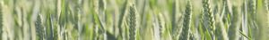 Agri Farm Day