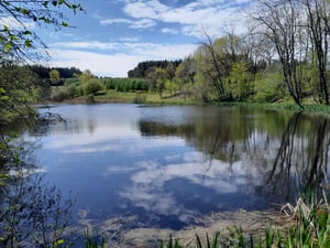 Billede II til invi Skov- og naturdrift