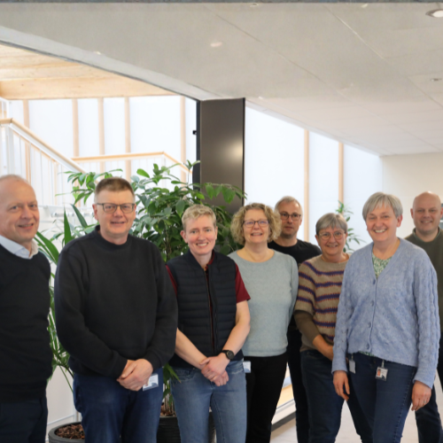 GriseNyt-Team